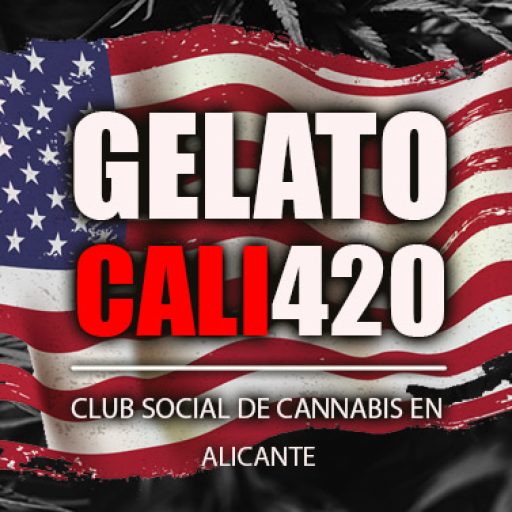 club cannabis alicante