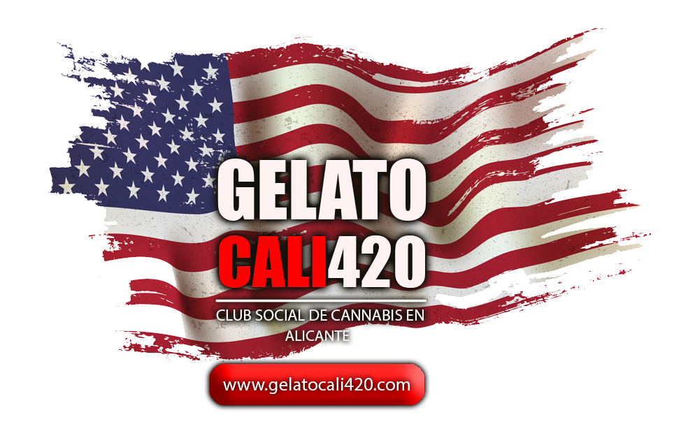 club cannabis alicante
