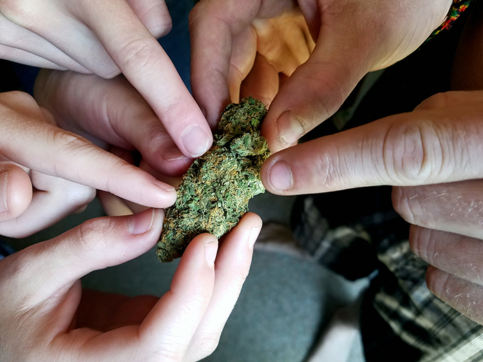 Cuales son las preguntas mas frecuentes del cannabis en Alicantes